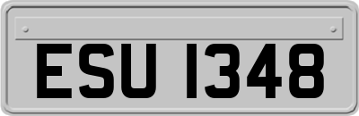 ESU1348