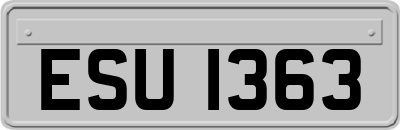 ESU1363