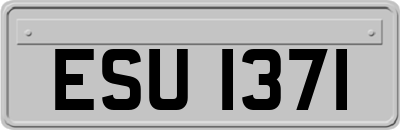 ESU1371