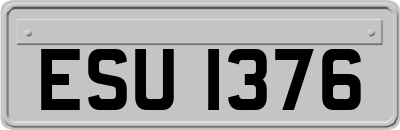 ESU1376