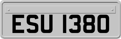 ESU1380