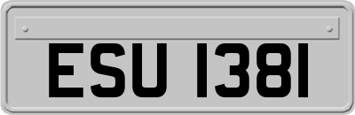 ESU1381
