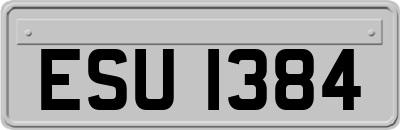 ESU1384