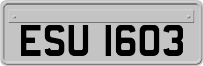 ESU1603
