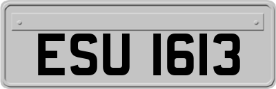 ESU1613
