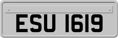 ESU1619