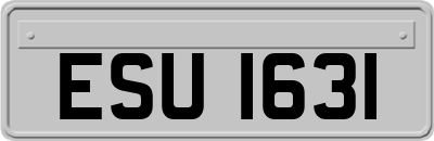 ESU1631
