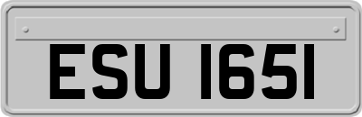 ESU1651