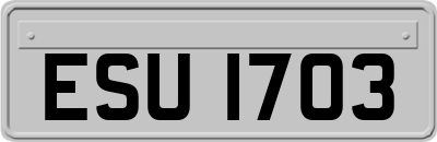 ESU1703