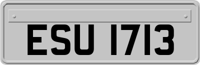 ESU1713