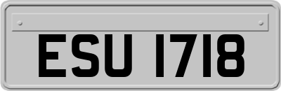 ESU1718