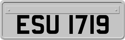ESU1719