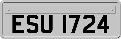 ESU1724