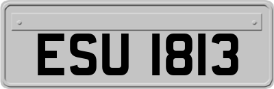 ESU1813