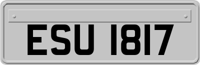 ESU1817