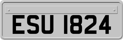 ESU1824