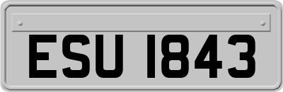 ESU1843