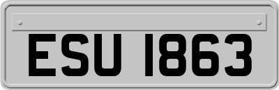 ESU1863