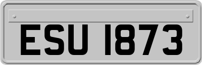 ESU1873