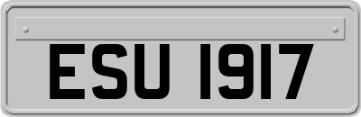 ESU1917