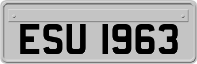 ESU1963