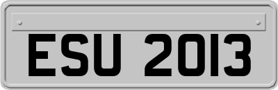ESU2013