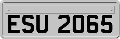 ESU2065