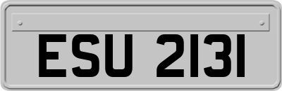ESU2131