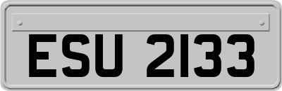 ESU2133
