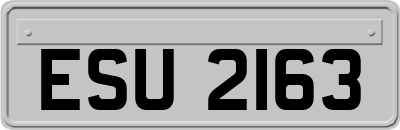 ESU2163