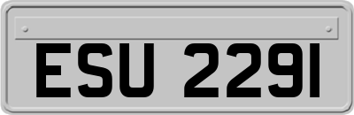 ESU2291