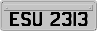 ESU2313