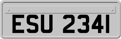 ESU2341