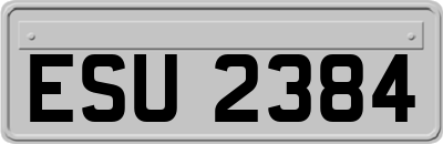 ESU2384