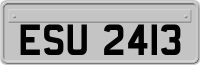 ESU2413