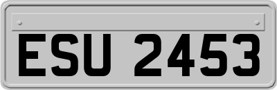 ESU2453