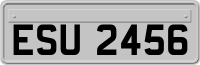 ESU2456