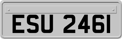 ESU2461