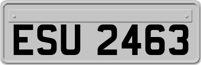 ESU2463