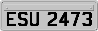 ESU2473