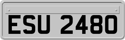 ESU2480