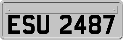 ESU2487