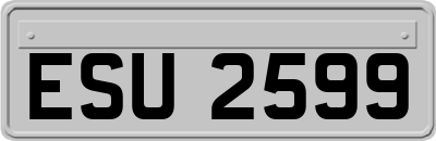 ESU2599