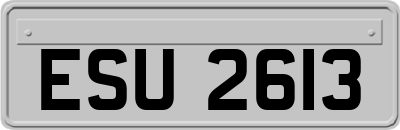 ESU2613