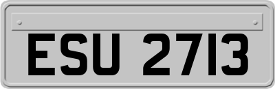 ESU2713