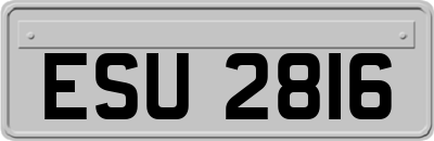 ESU2816