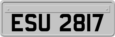 ESU2817