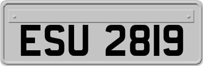 ESU2819