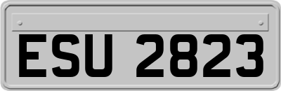 ESU2823