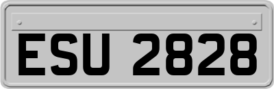 ESU2828